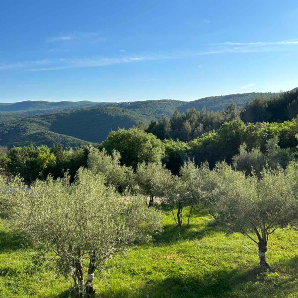 Ferienwohnung Rabac, Istrian Villas, with pool, near Barban in Istria, Croatia